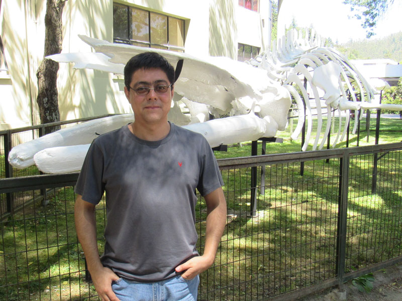 Claudio Correa Quezada