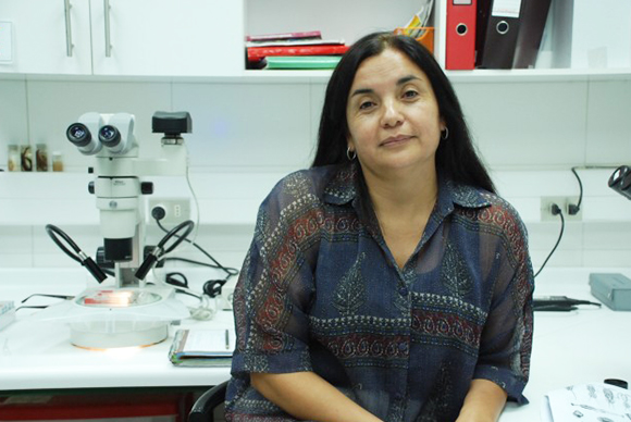 Pamela Hidalgo