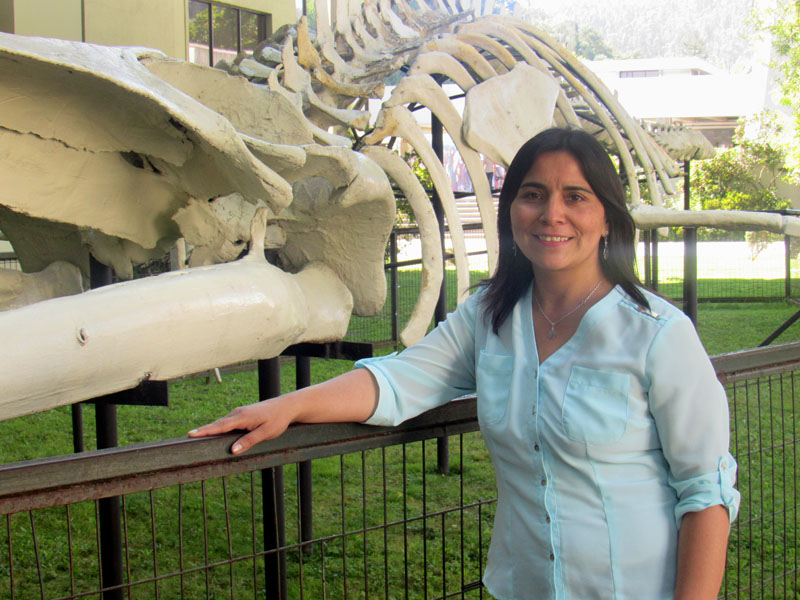 Gisela Letelier Baeza