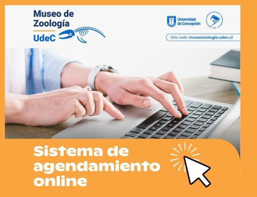 Museo de Zoología UdeC moderniza su acceso con nuevo sistema de agendamiento online
