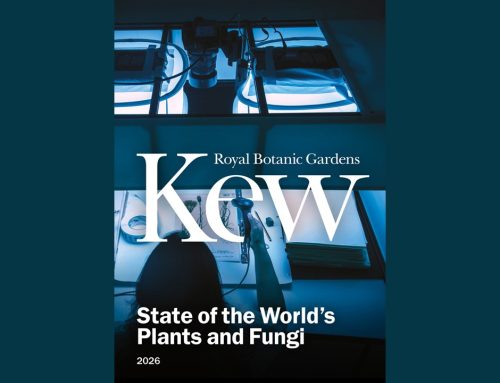 Investigadores del Departamento de Botánica FCNO son coautores de histórico informe global de Kew sobre el estado de las plantas y hongos 2026