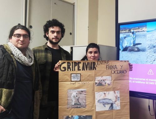 Proyecto FONIS sobre zoonosis marina capacita a estudiantes y convoca a trabajadores de la pesca y la gastronomía en Dichato