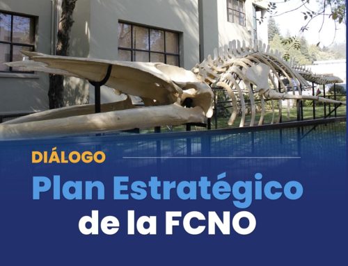 FCNO convocada a su comunidad a encuentro abierto para dialogar sobre el borrador final del Plan Estratégico 2026–2031