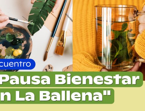 “Pausa Bienestar en La Ballena”: FCNO y DISE invitan a estudiantes de pregrado a jornada de autocuidado y talleres prácticos