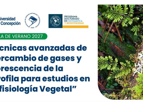 Escuela de Verano 2027: Abren inscripciones para curso intensivo en técnicas avanzadas de intercambio de gases y fluorescencia en Ecofisiología Vegetal