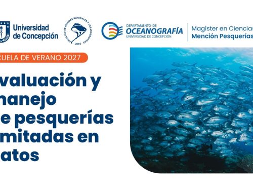Escuela de Verano 2027: Abren postulaciones a curso avanzado sobre evaluación y manejo de pesquerías con escasez de datos